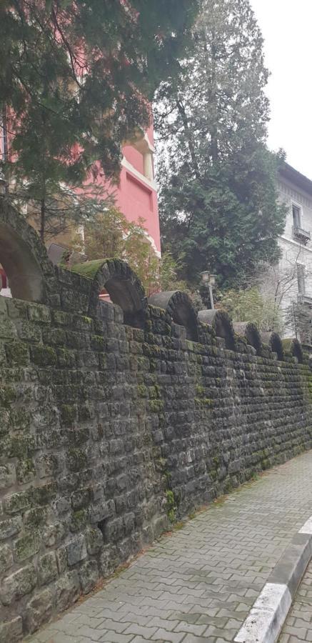 Casa Rosa Baile Olanesti Exterior foto